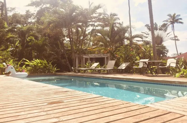 Casa Barbara Las Terrenas pool